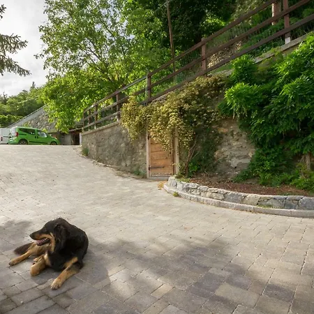 La Casa Di Alfredo E Virginia Appartamento